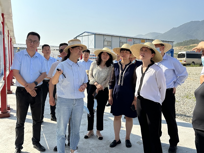 国家口岸管理办公室副主任党晓红调研坝洒监管区建设项目