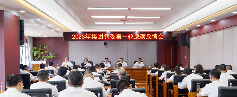 世界杯网址党委第六巡察组向省水公司反馈2023年第一轮巡察情况