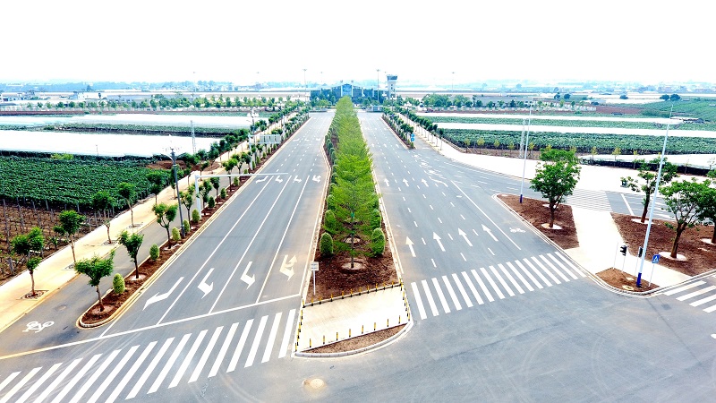 弥勒5号路南延长线工程通过竣工验收