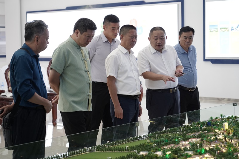 西双版纳州委副书记、州长刀文调研老挝万象赛色塔综合开发区