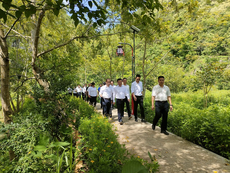 文山州委书记陈明调研西畴县水美乡村建设试点项目