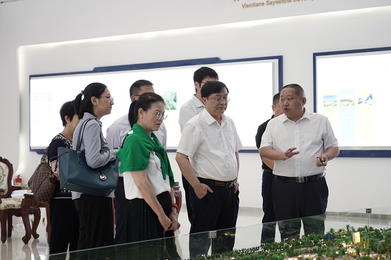 中国铁塔总会计师胡少峰调研老挝万象赛色塔综合开发区