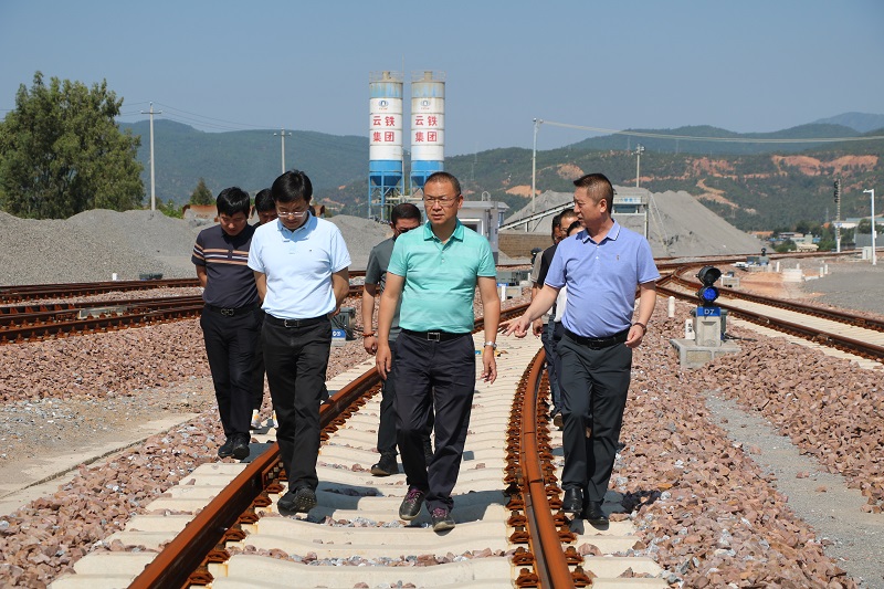 大兴调查研究 | 杨国文到祥云财富铁路专用线调研