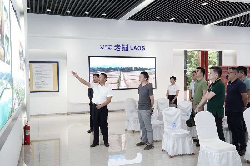 进出口银行云南省分行调研万象赛色塔综合开发区