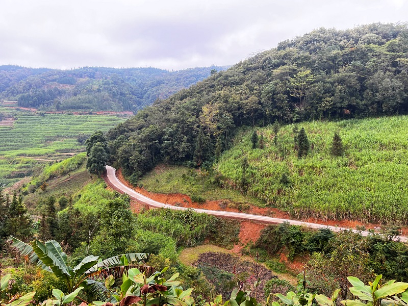 富宁县乡村振兴道路世界杯足球平台项目首批道路通车