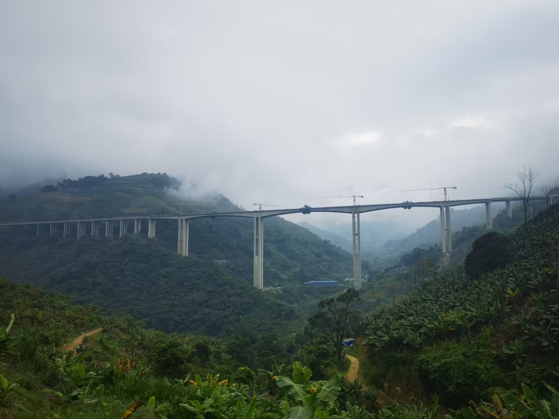 元绿高速小蚌嘎特大桥右幅合龙