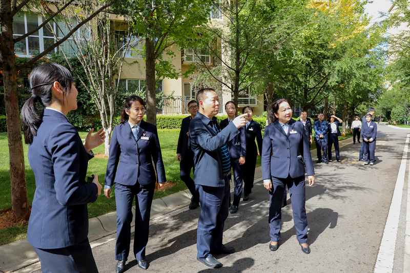 大兴调查研究 | 陈祖军调研物业公司强调：把建投物业金字招牌越擦越亮