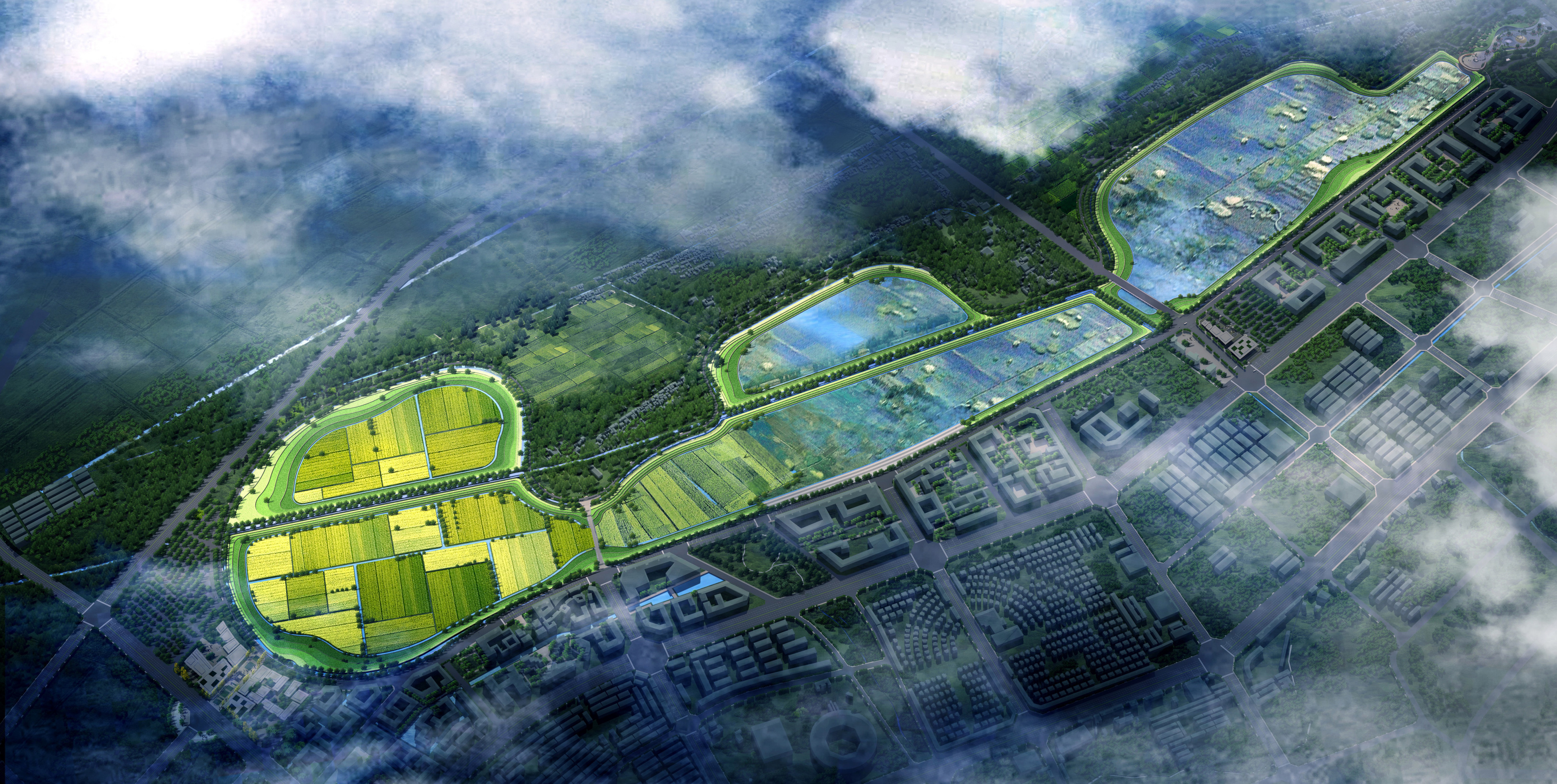 大兴调查研究 | 杨国文调研会泽蔓海项目