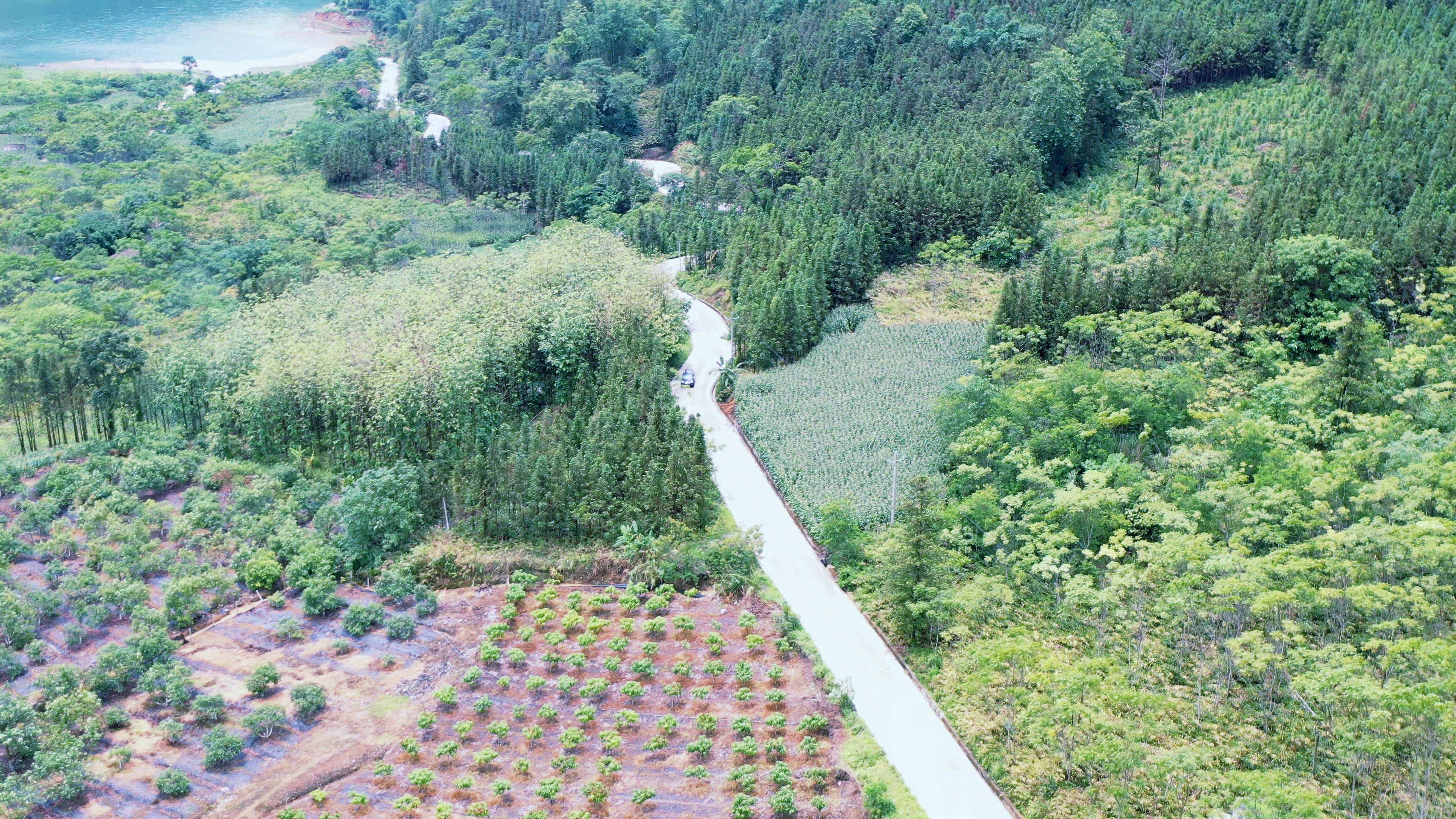 屏边农村公路建设项目首批公路通过竣工验收