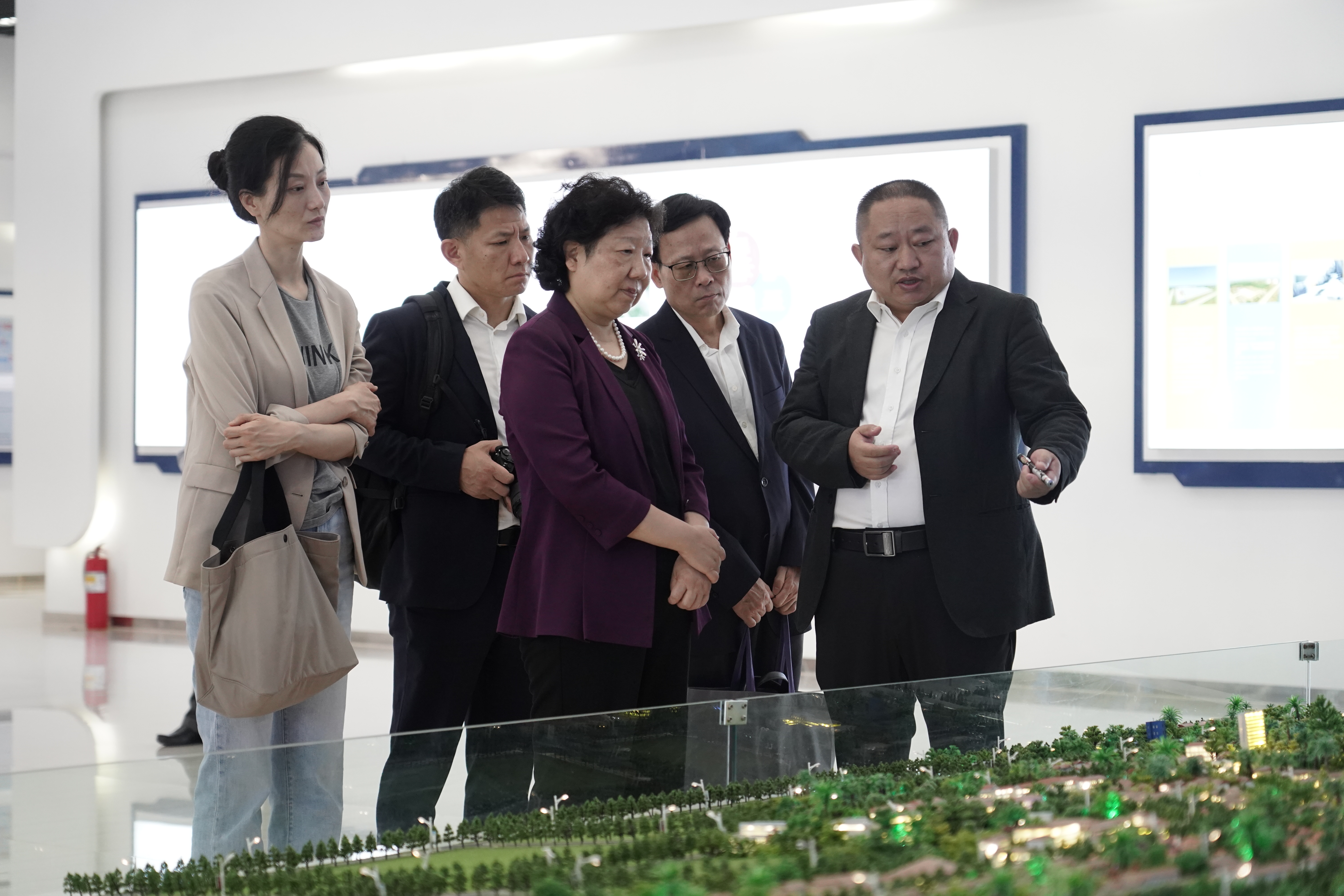 广东省政协副主席李心调研万象赛色塔综合开发区