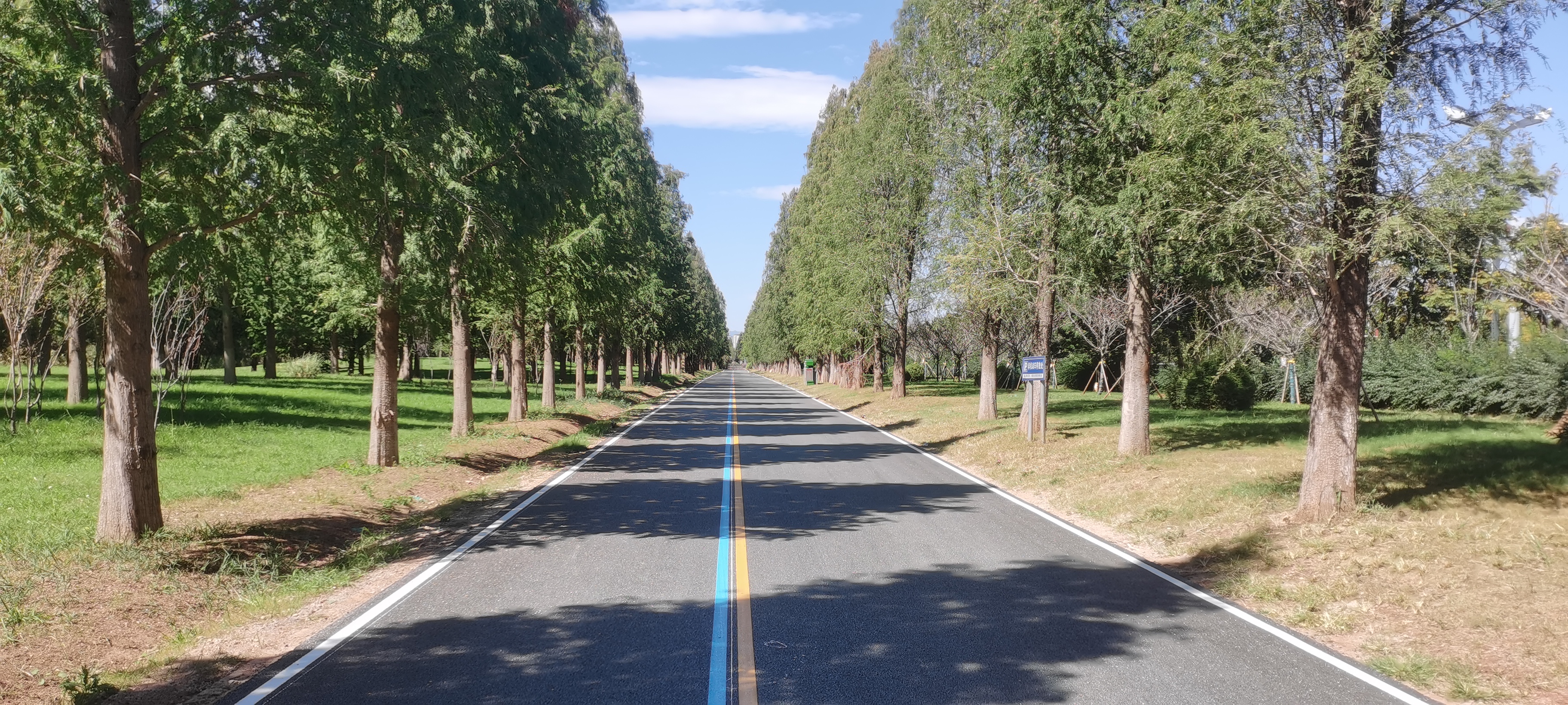 刘金荣与昆明市住建局局长陈绍波一同调研滇池绿道项目