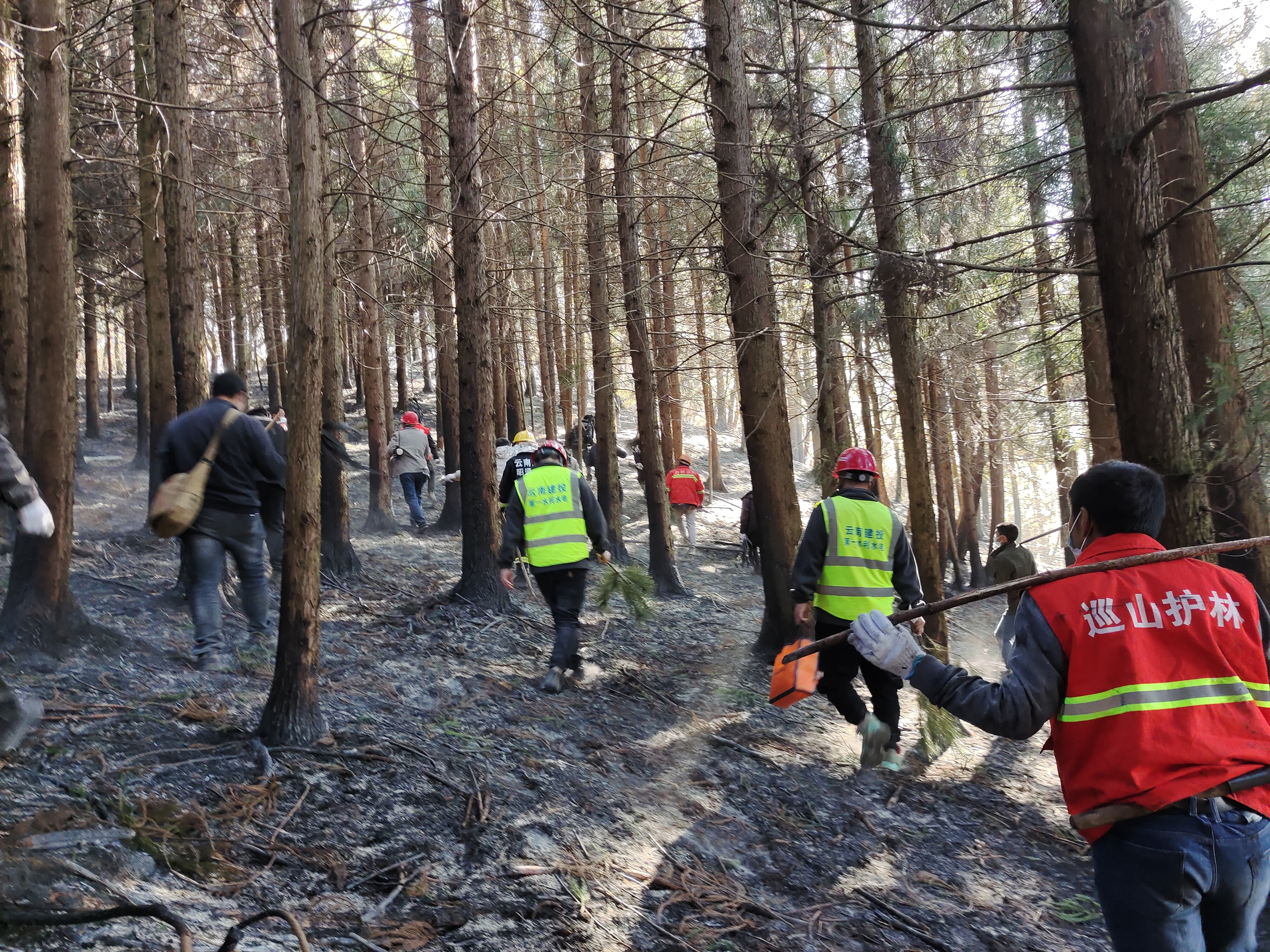 第一水利水电公司积极参与永善县森林火灾应急救援