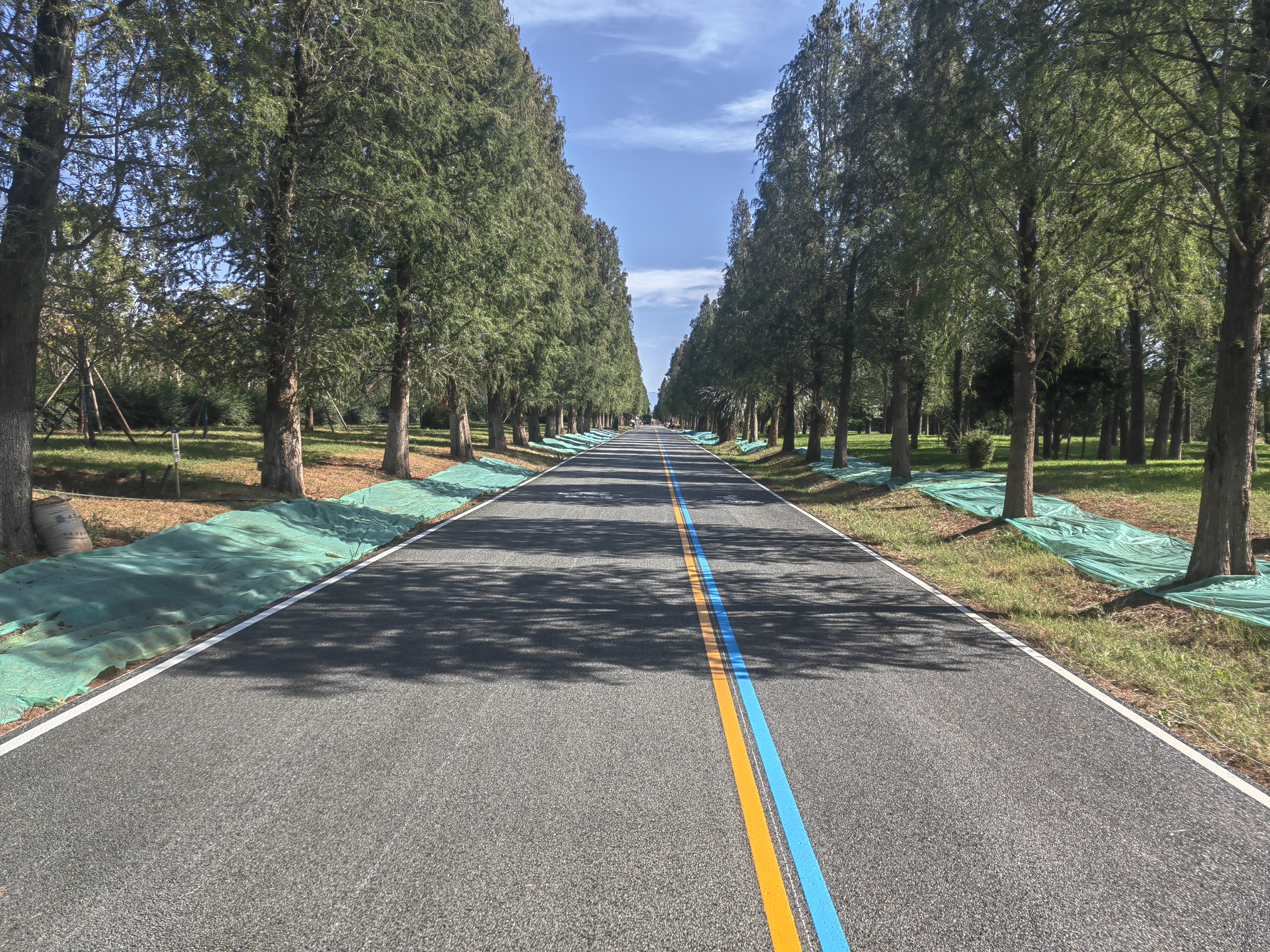 省住建厅总工程师汪巡调研昆明市滇池绿道项目