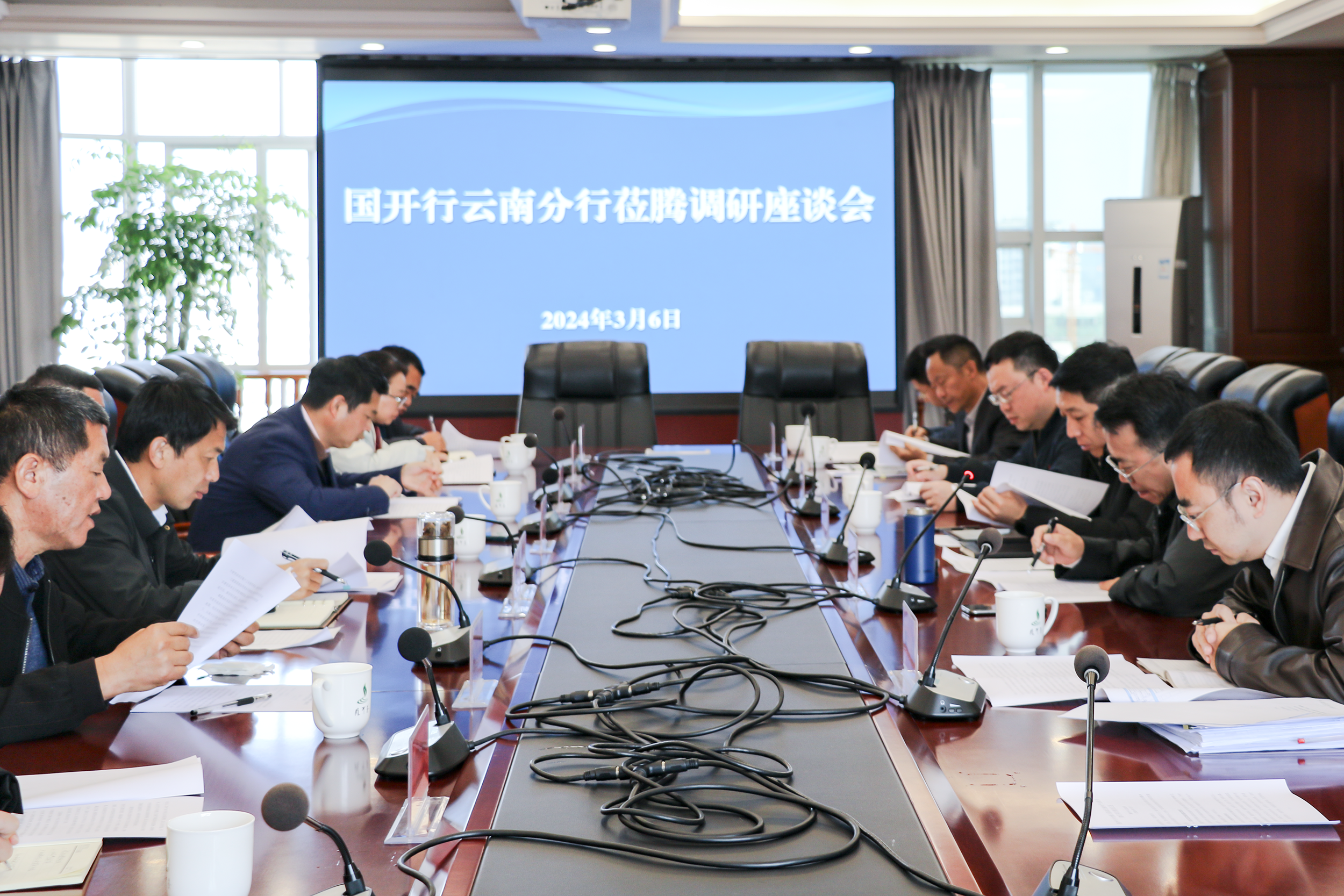 国开行云南省分行党委书记、行长彭肇文调研腾冲市乡村振兴项目