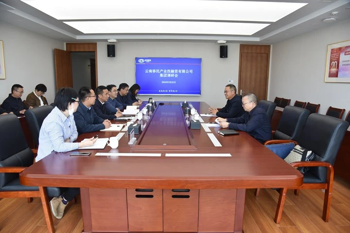 杨国文调研移投公司