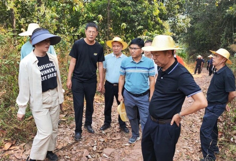 西双版纳州人大常委会副主任张文虎调研景洪市农村供水保障项目
