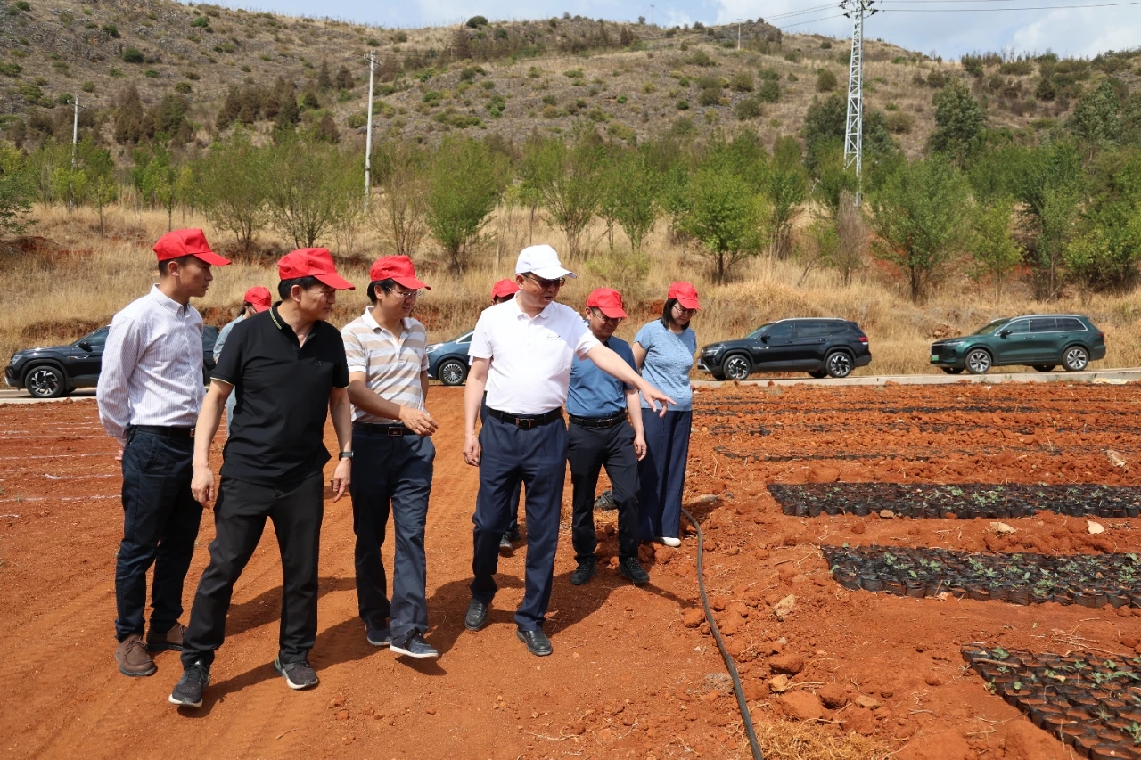 省发改委副主任周民欣调研世界杯官网合作平台绿美红樱花木产业园