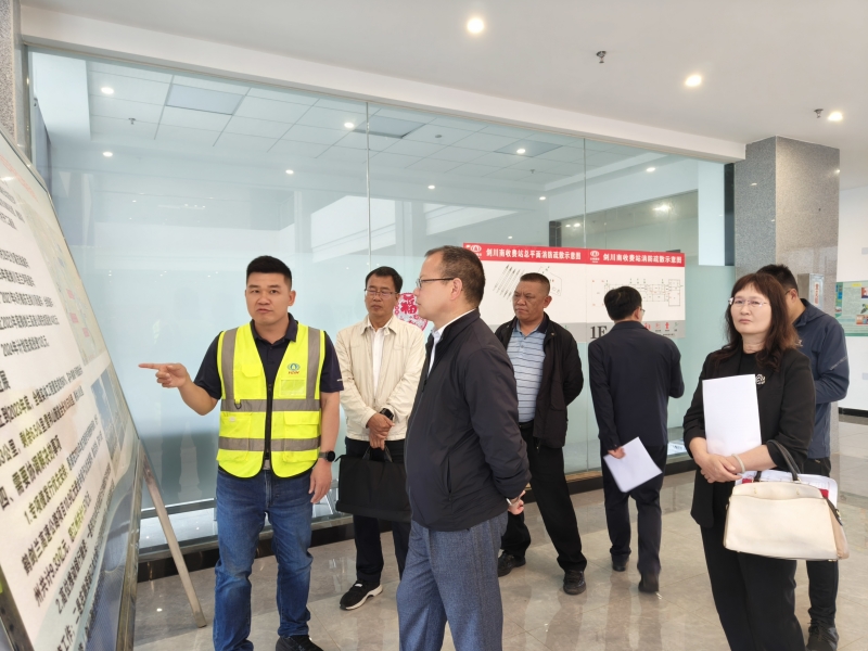 大理州副州长王武调研鹤剑兰高速项目