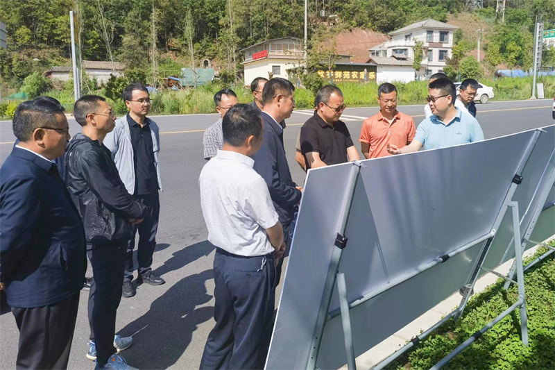 大理州副州长王武调研云永高速、鹤剑兰高速项目