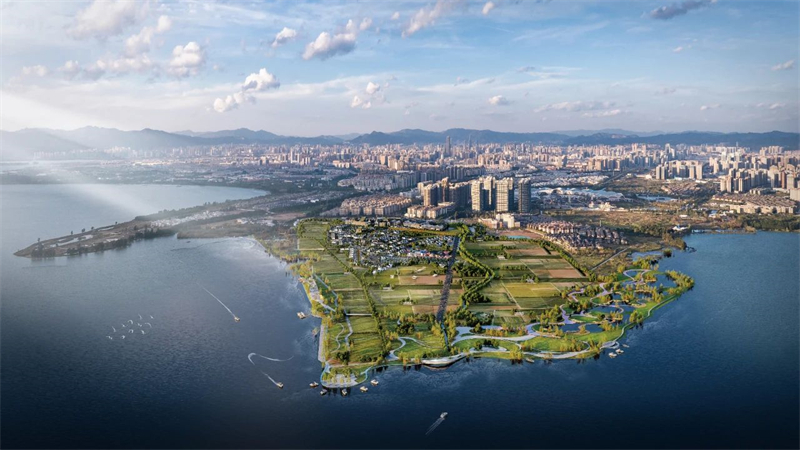 团省委书记赵攀峰调研世界杯直播网福保半岛乡村振兴项目