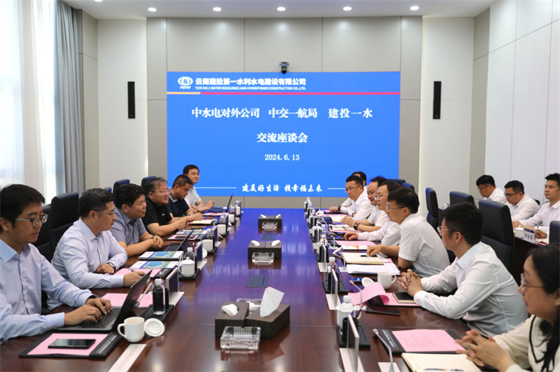 世界杯直播网与中水电对外公司交流座谈