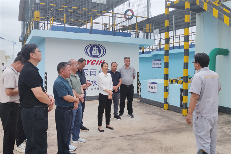 玉溪市政协副主席、党组副书记杨丽萍调研玉溪城乡供水两个“三年行动”项目