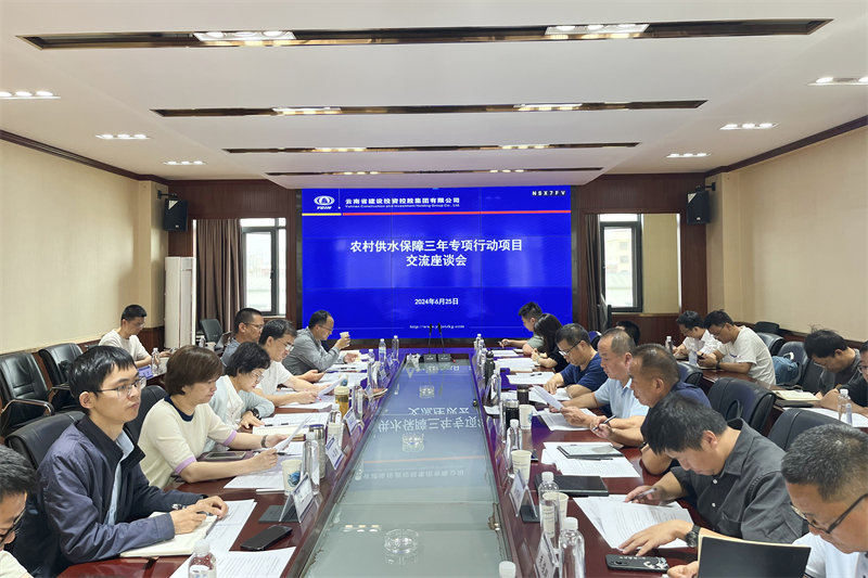 国开行云南省分行副行长李玉婷调研玉溪市红塔区农村供水保障项目