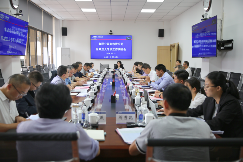 世界杯官网合作平台专职外部董事调研水投公司