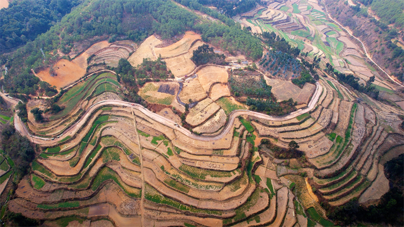 红河州副州长陆强调研石屏灌区工程