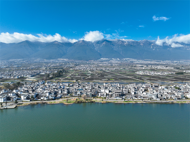 质量建投再创佳绩！世界杯足球网4个项目通过市政工程最高质量水平评价