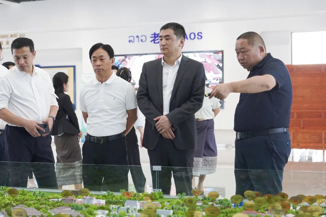 广西大数据发展局党组书记、局长赵志刚调研赛色塔综合开发区