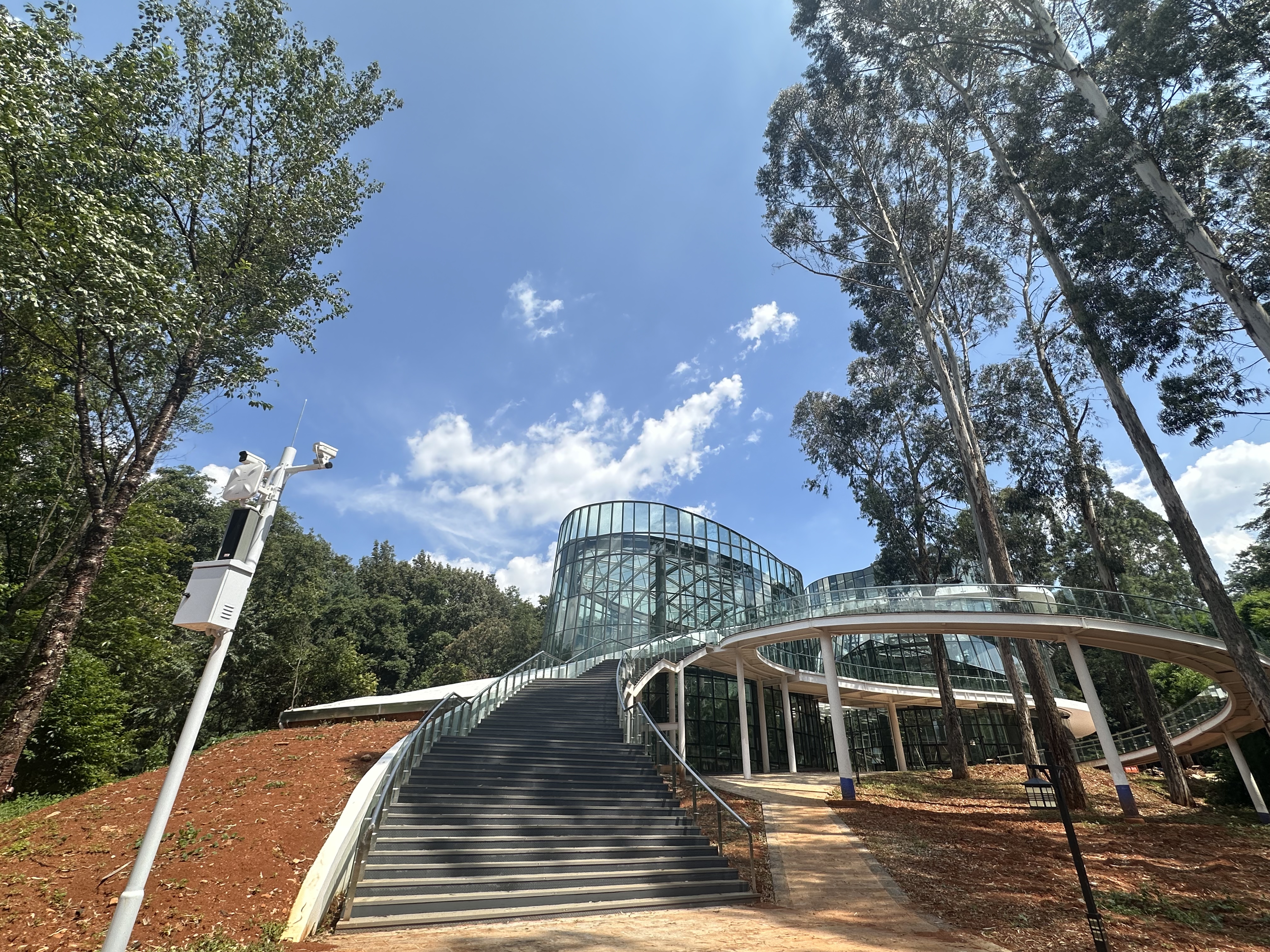 昆明树木园提升改造世界杯官网合作平台通过竣工验收