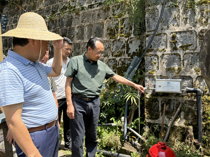 怒江州政协党组成员、副主席杨周群调研怒江州农村供水保障项目