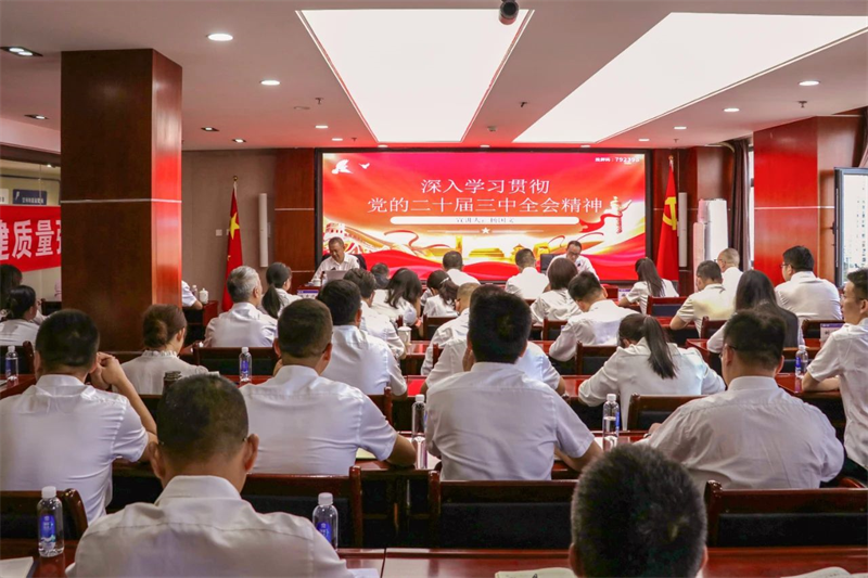 杨国文到西南交建公司宣讲党的二十届三中全会精神