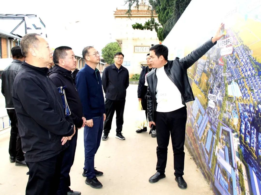 陈宙翔调研福保半岛项目