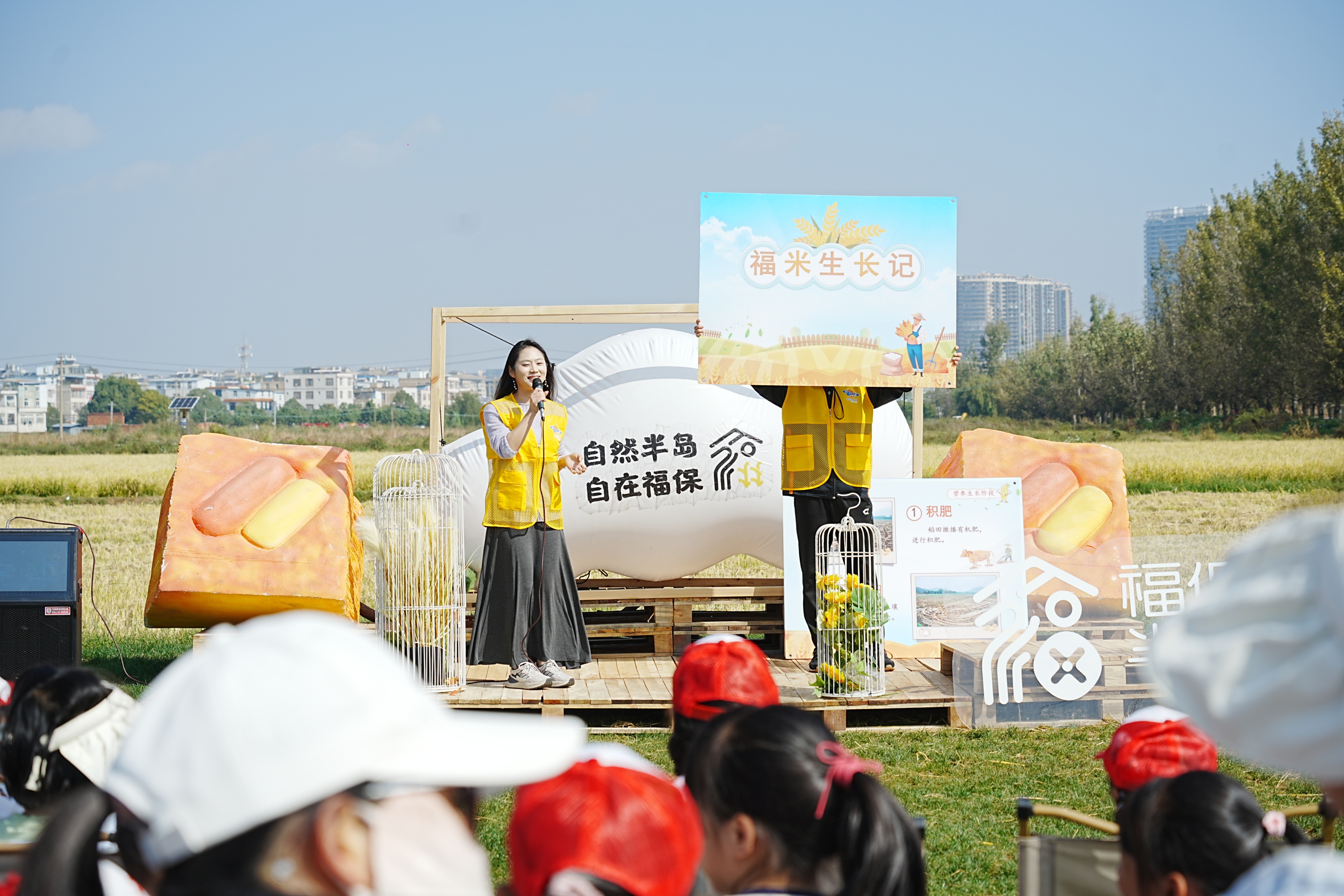 福保半岛开展“稻米收割”研学体验活动