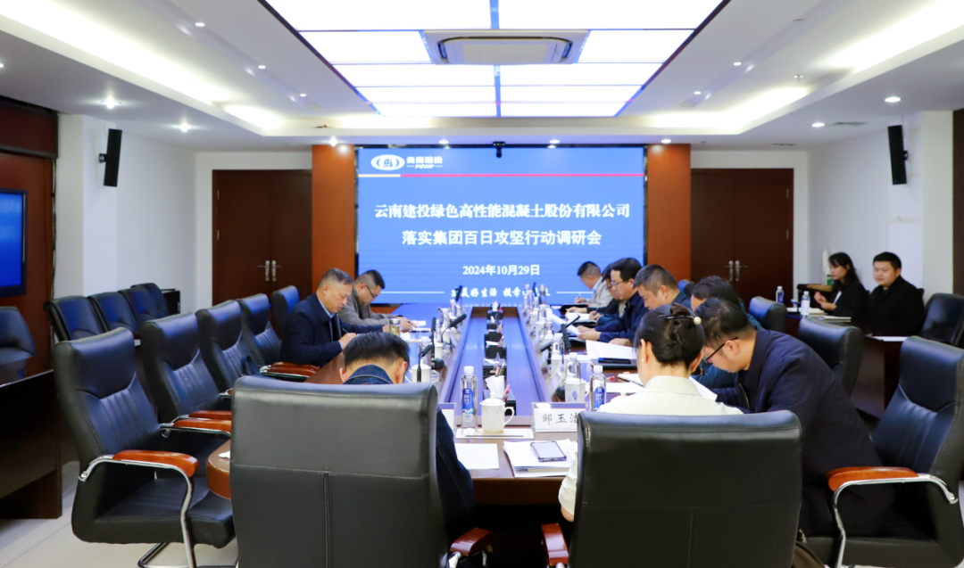 百日攻坚 王永强到云建绿砼督导帮扶