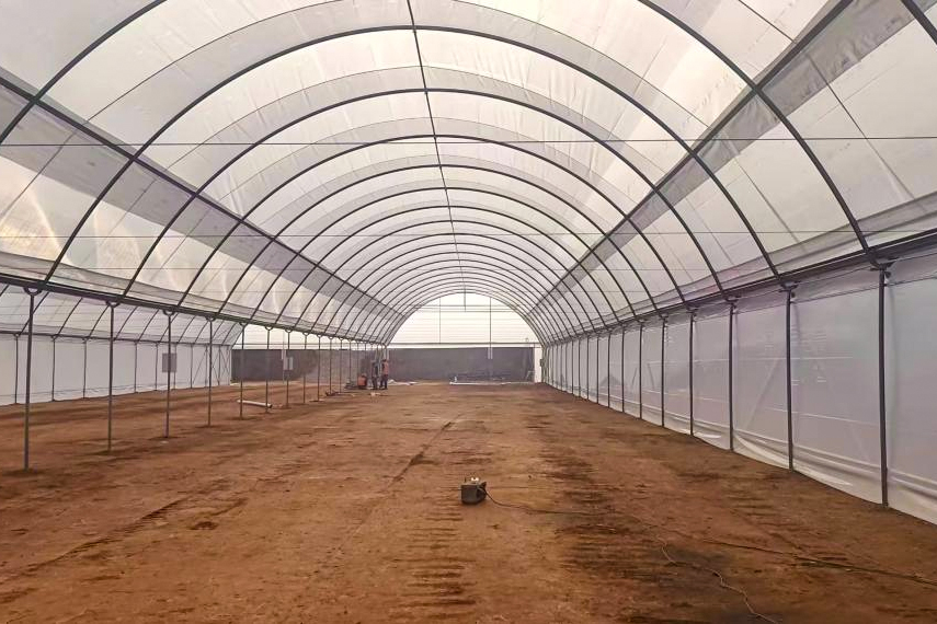 弥勒东风平地片区农业种植项目蓝莓大棚样板棚通过验收