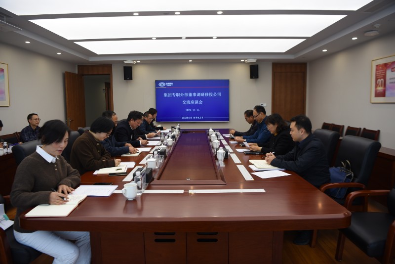 世界杯官网合作平台专职外部董事调研移投公司