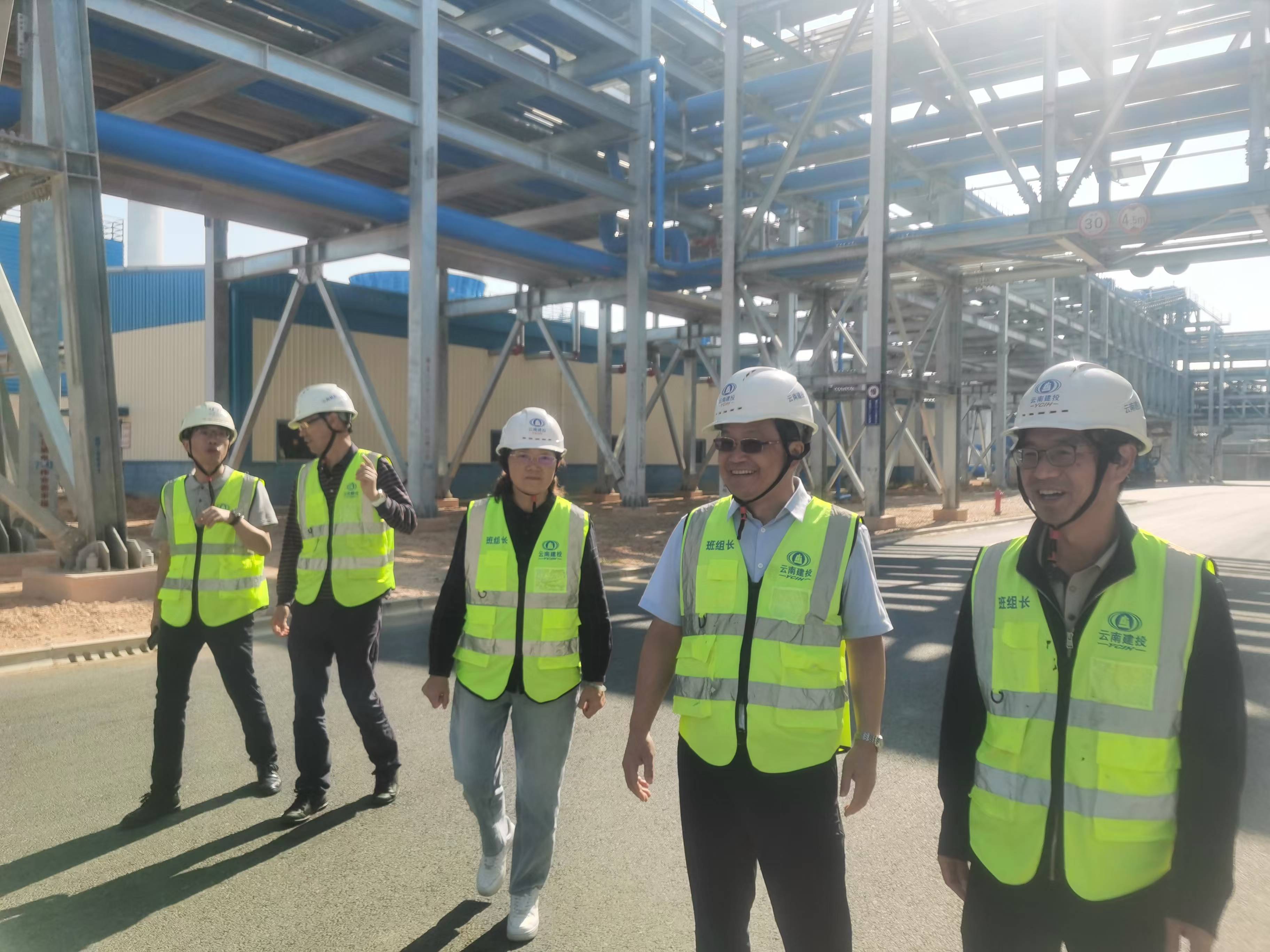 2026世界杯比分直播公司专职外部董事调研广西片区项目