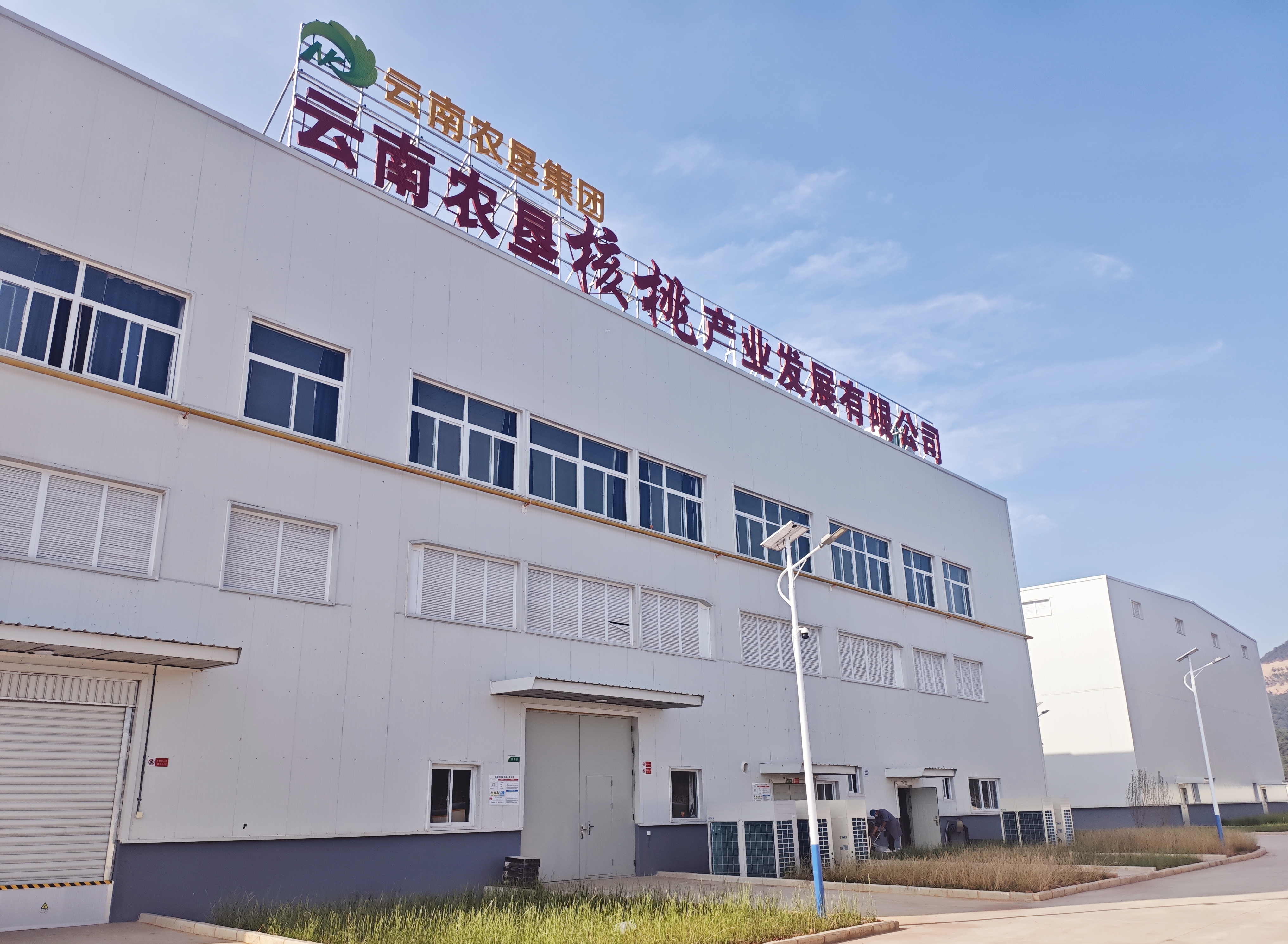 云南农垦大理核桃产业标准化加工项目（一期）顺利竣工验收