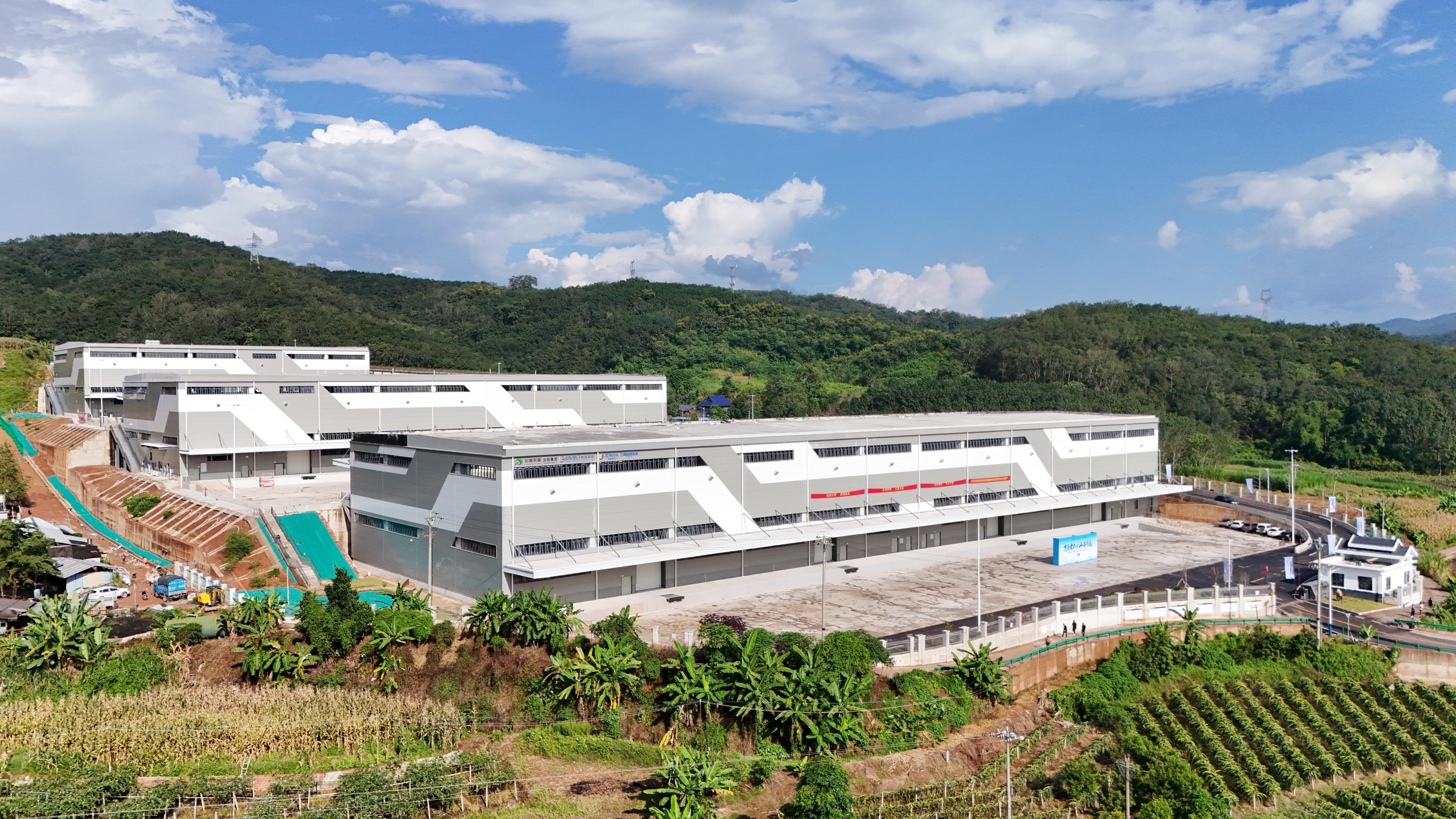 西双版纳天然橡胶绿色智能物流综合园世界杯网址顺利投产