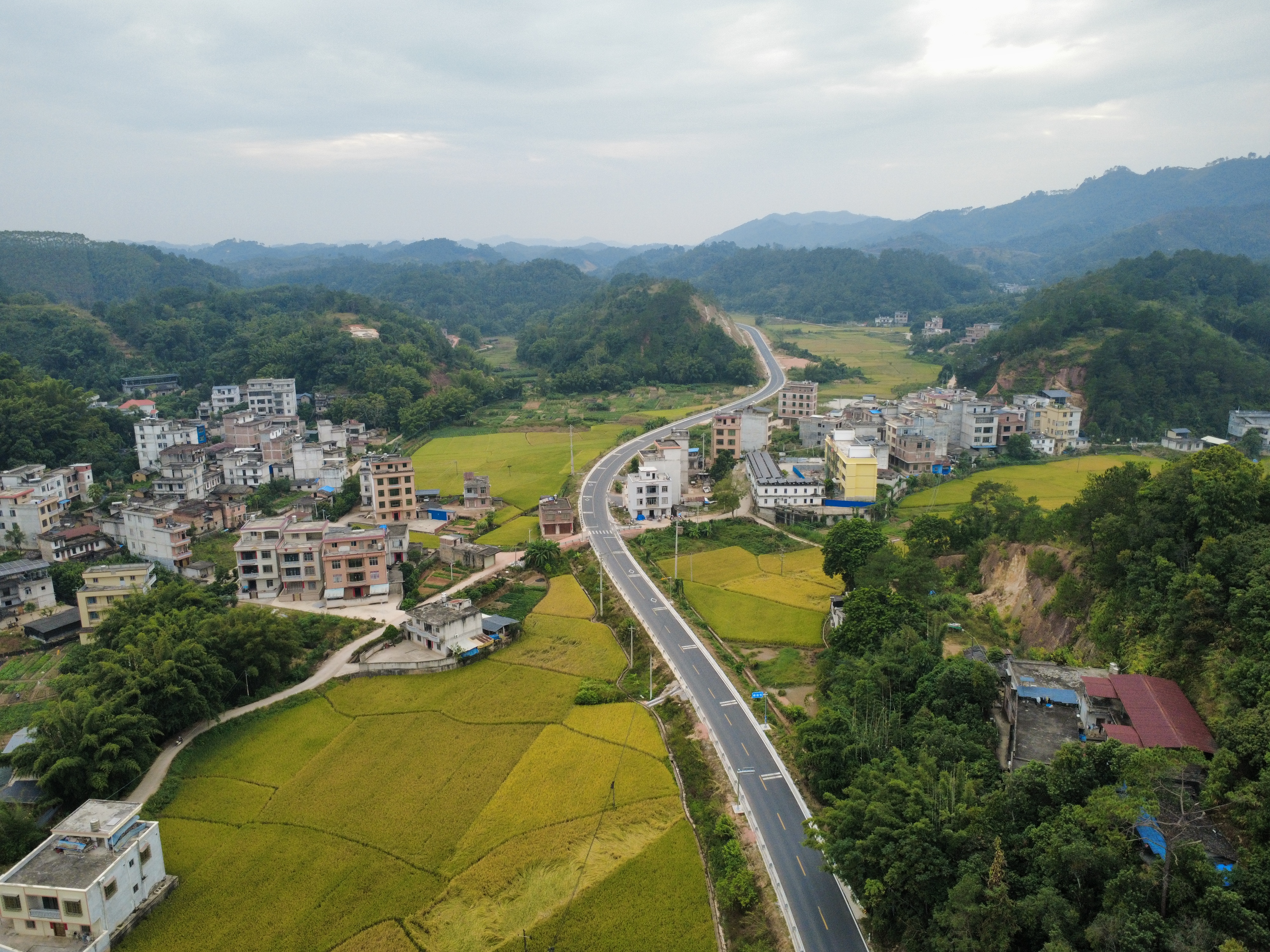 S310岑溪糯垌至平南四灵公路第四合同段建成通车