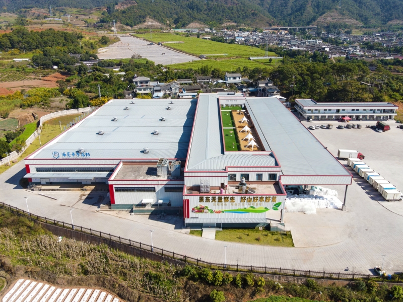 景东县水果蔬菜基地基础设施世界杯足球比分预测项目竣工验收