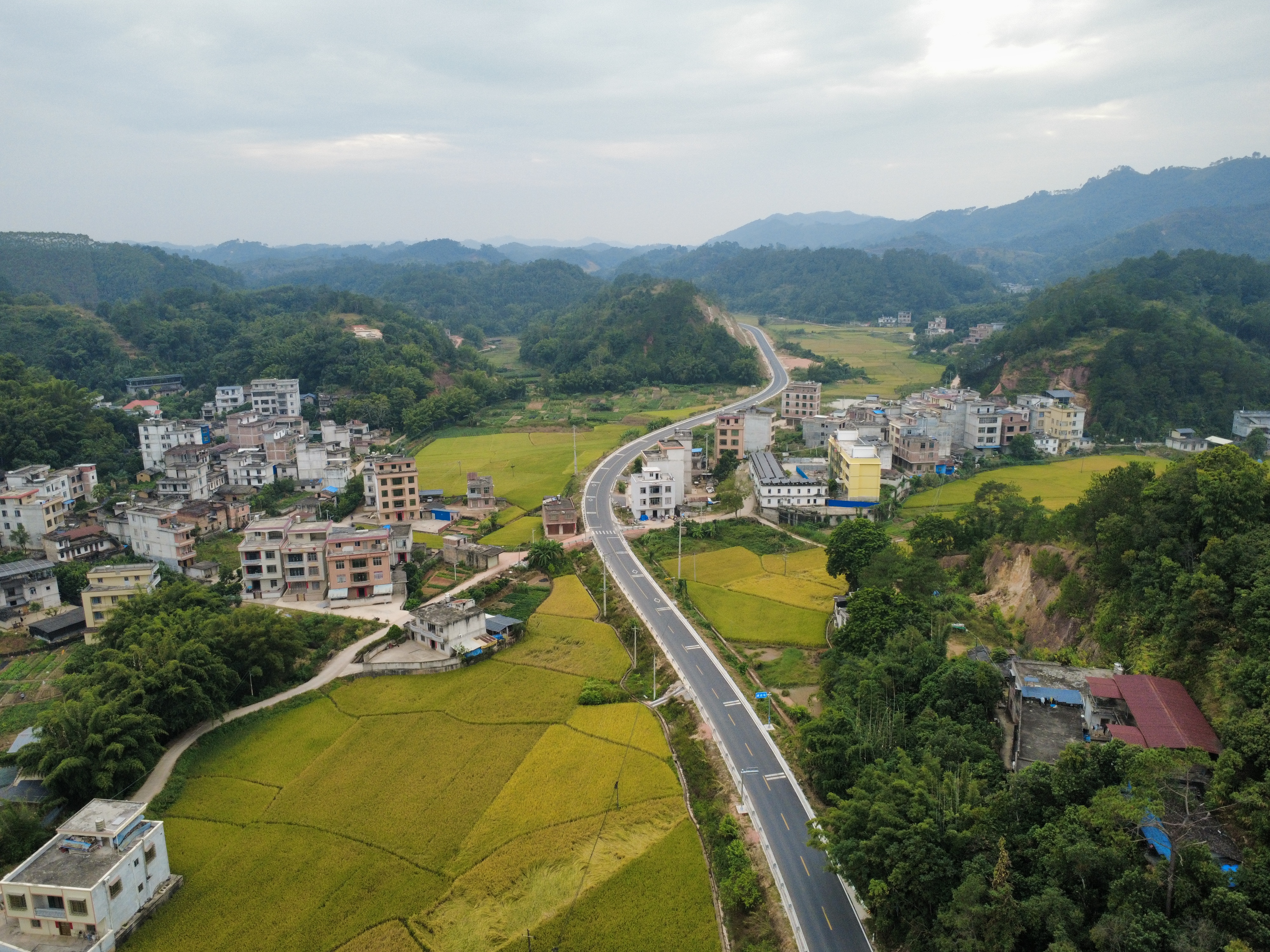 S310岑溪糯垌至平南四灵公路项目全线通车