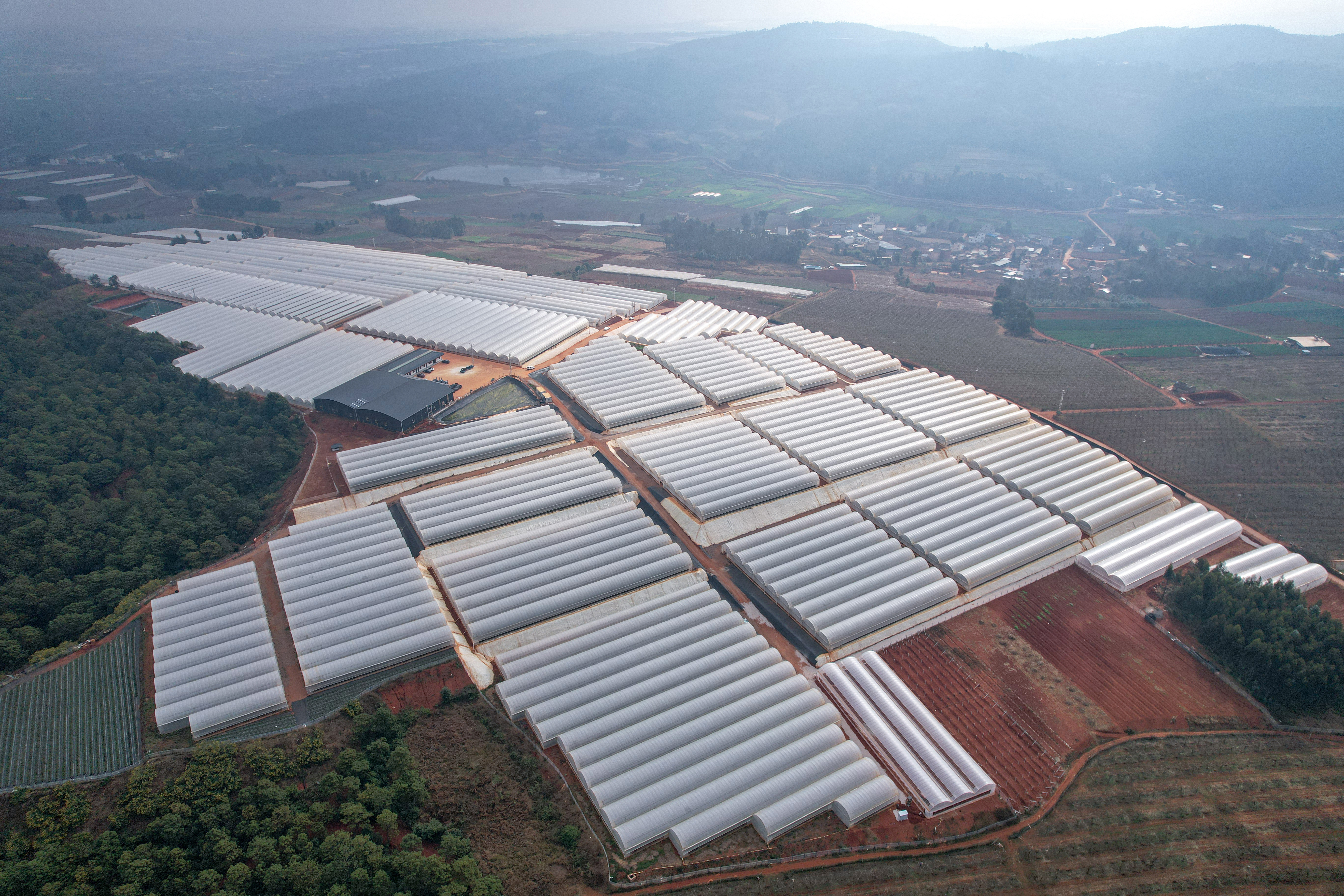 弥勒市东风平地农业种植建设项目一期顺利完成大棚主体移交工作